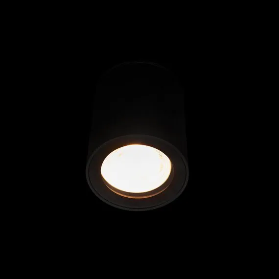 LOFT IT 10344 Black Накладной светильник Rush, изображение 2