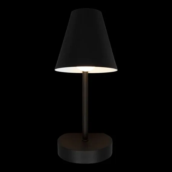 LOFT IT 10216/1W Black Настенный светильник Shelf, изображение 4