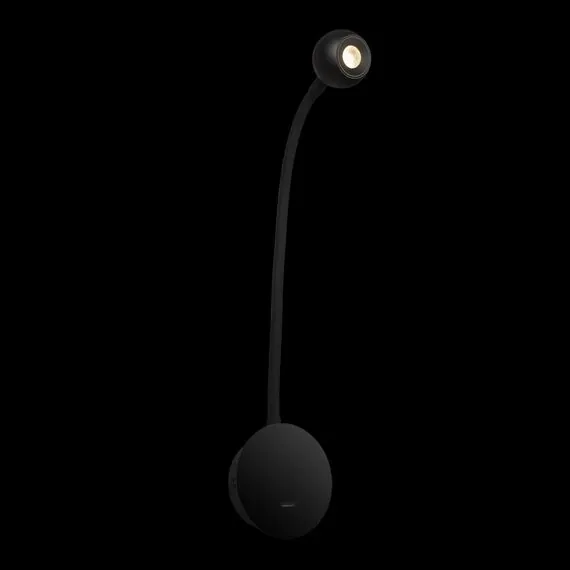 LOFT IT 10254 Black Настенный светильник Point, изображение 4