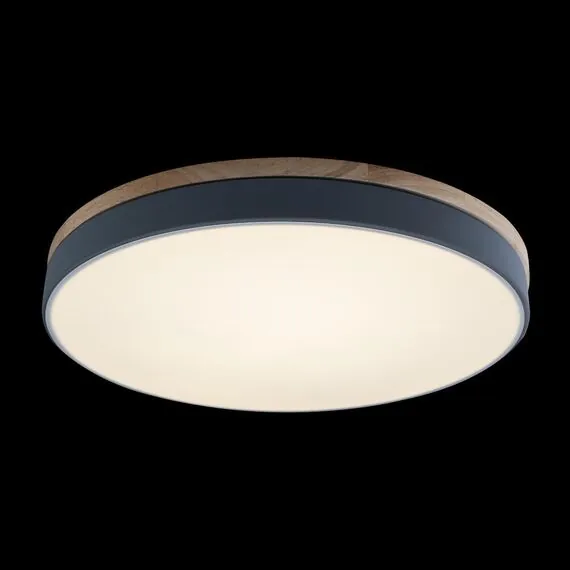 LOFT IT 10001/36 Grey Потолочный светильник Axel, изображение 3