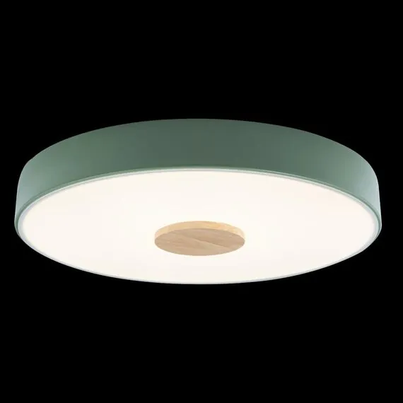 LOFT IT 10003/24 Green Потолочный светильник Axel, изображение 2