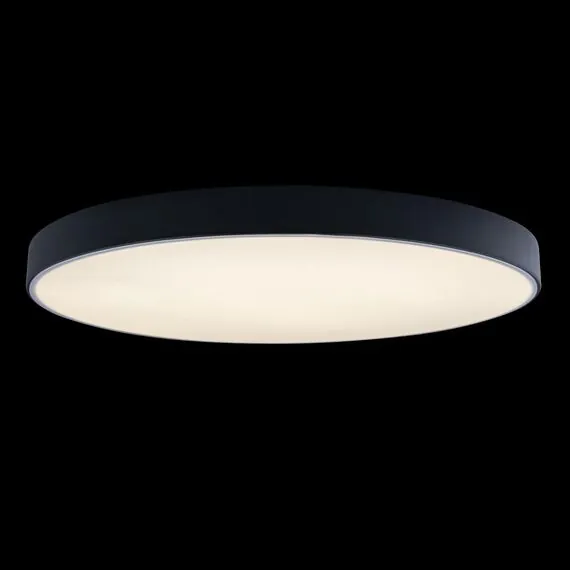LOFT IT 10002/48 Black Потолочный светильник Axel, изображение 2