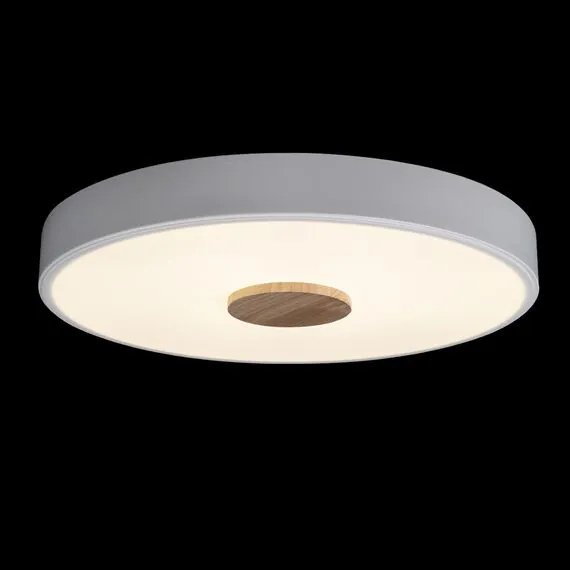 LOFT IT 10003/24 White Потолочный светильник Axel, изображение 2