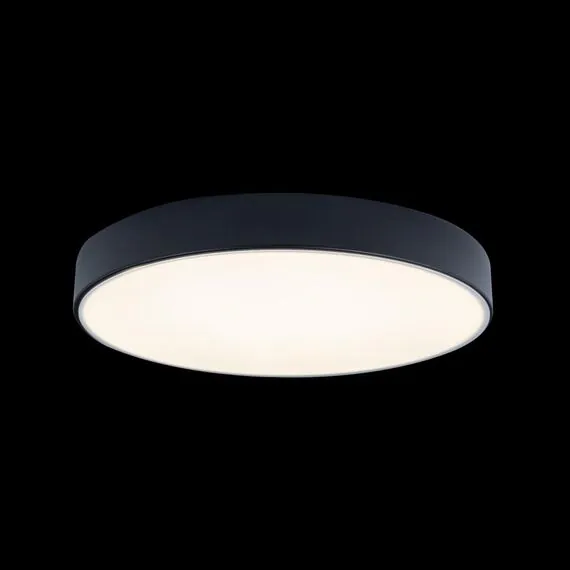 LOFT IT 10002/24 Black Потолочный светильник Axel, изображение 2