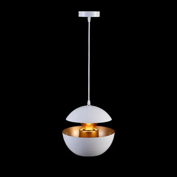 LOFT IT LOFT2213-A Подвесной светильник Apple, изображение 2