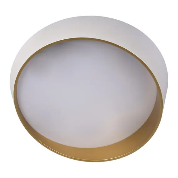 LOFT IT 10199 White Потолочный светильник Coin, изображение 3
