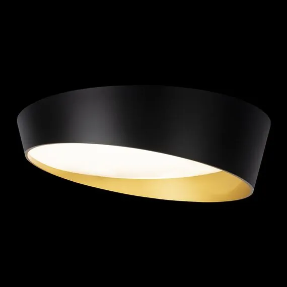 LOFT IT 10199 Black Потолочный светильник Coin, изображение 2