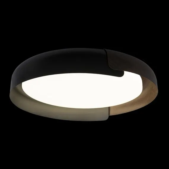 LOFT IT 10198 Black Потолочный светильник Coin, изображение 2