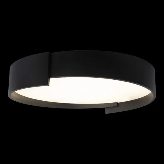 LOFT IT 10200 Black Потолочный светильник Coin, изображение 2