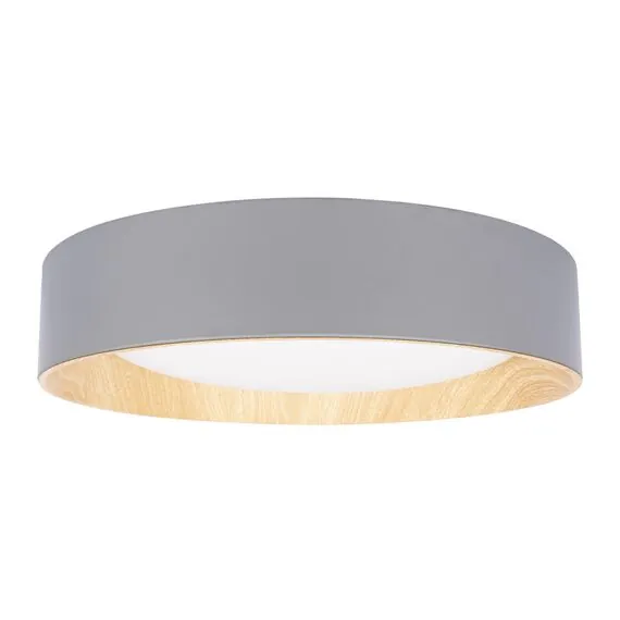 LOFT IT 10202 Grey Потолочный светильник Coin, изображение 3