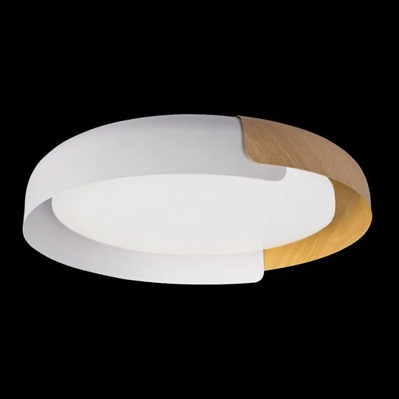 LOFT IT 10198 White Потолочный светильник Coin, изображение 2