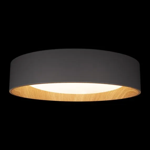 LOFT IT 10202 Grey Потолочный светильник Coin, изображение 4