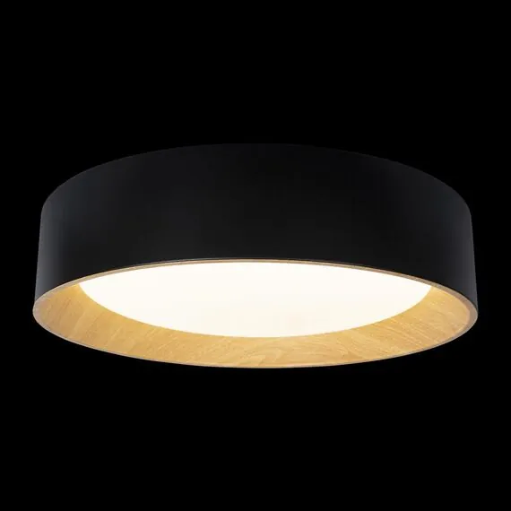 LOFT IT 10202 Black Потолочный светильник Coin, изображение 2