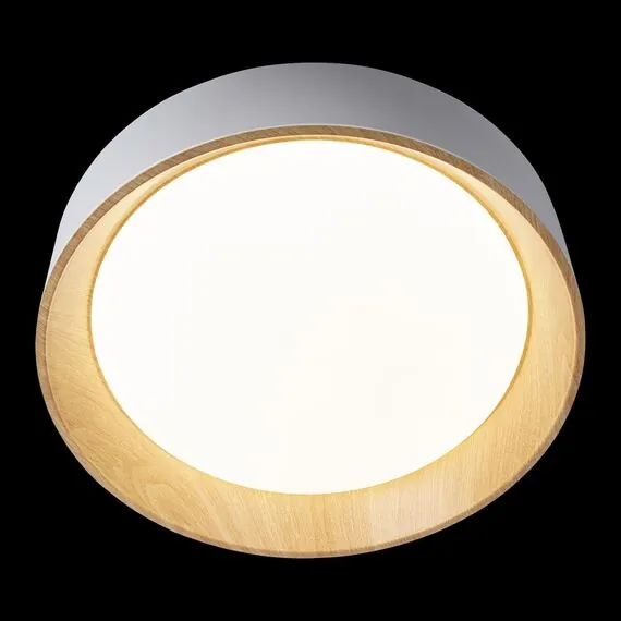 LOFT IT 10202 White Потолочный светильник Coin, изображение 4