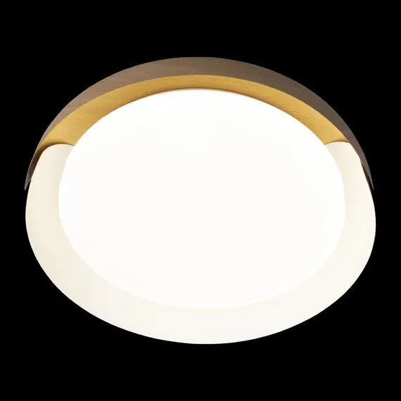 LOFT IT 10198 White Потолочный светильник Coin, изображение 6