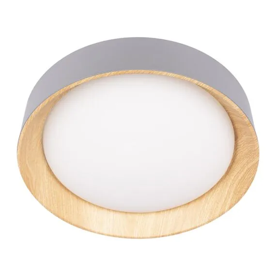 LOFT IT 10202 Grey Потолочный светильник Coin, изображение 5
