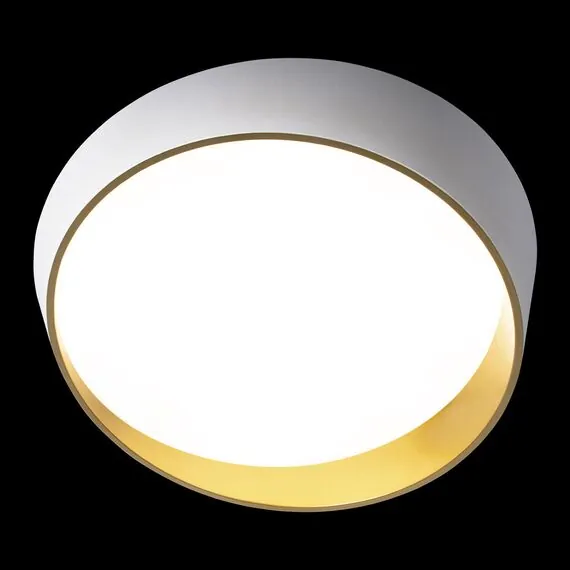 LOFT IT 10199 White Потолочный светильник Coin, изображение 4