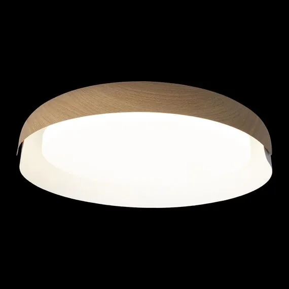 LOFT IT 10198 White Потолочный светильник Coin, изображение 4