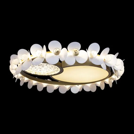 LOFT IT 10174 Потолочный светильник Bride, изображение 2