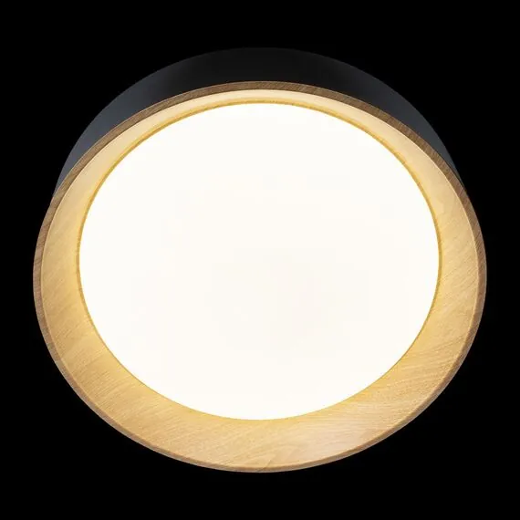 LOFT IT 10202 Black Потолочный светильник Coin, изображение 4