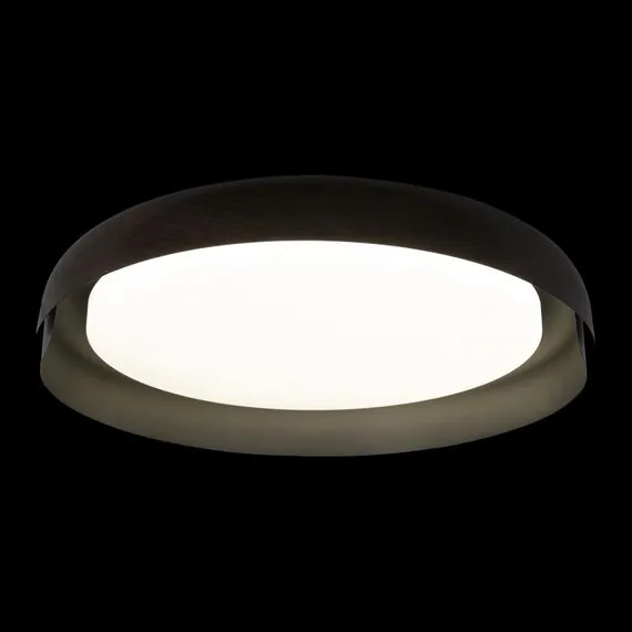 LOFT IT 10198 Black Потолочный светильник Coin, изображение 4