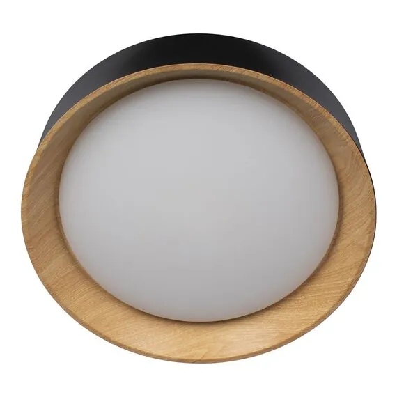 LOFT IT 10202 Black Потолочный светильник Coin, изображение 3
