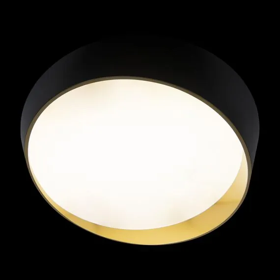 LOFT IT 10199 Black Потолочный светильник Coin, изображение 4