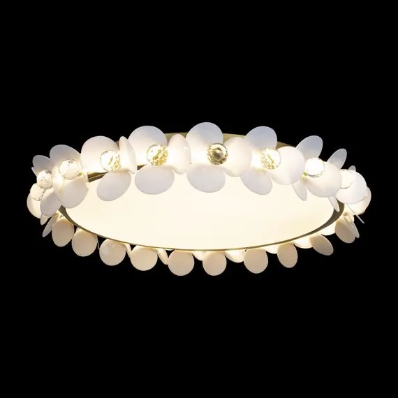 LOFT IT 10176 Потолочный светильник Bride, изображение 2
