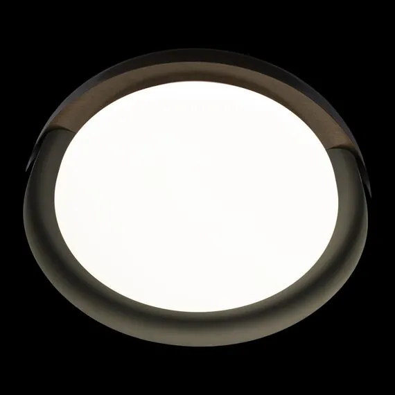 LOFT IT 10198 Black Потолочный светильник Coin, изображение 6