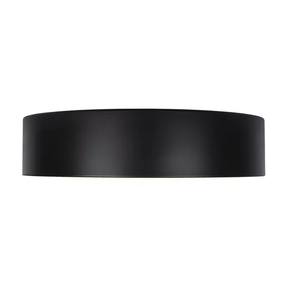 LOFT IT 10202 Black Потолочный светильник Coin, изображение 5