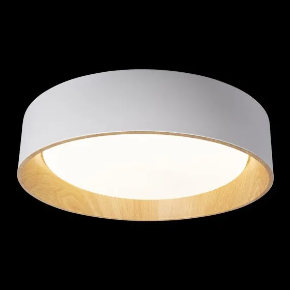 LOFT IT 10202 White Потолочный светильник Coin, изображение 2