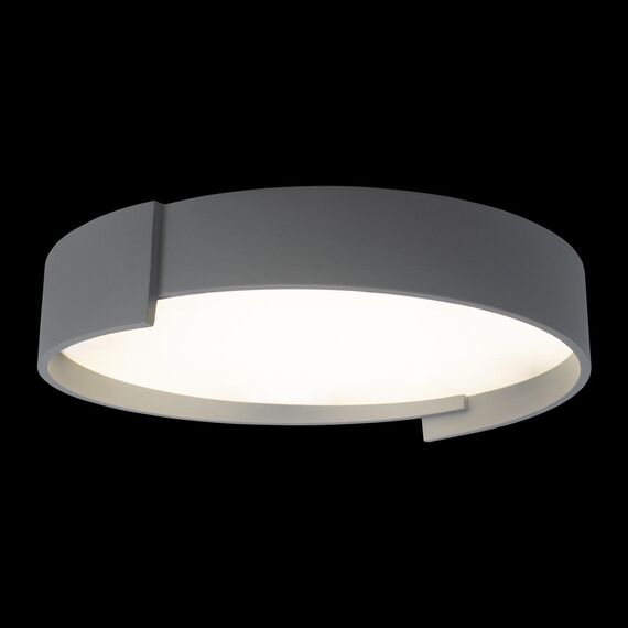LOFT IT 10200 Grey Потолочный светильник Coin, изображение 2