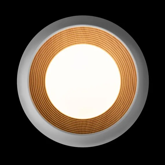LOFT IT 10255/350 White Потолочный светильник Folk, изображение 3
