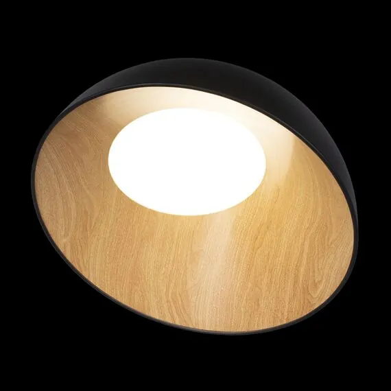 LOFT IT 10197/500 Black Потолочный светильник Egg, изображение 4