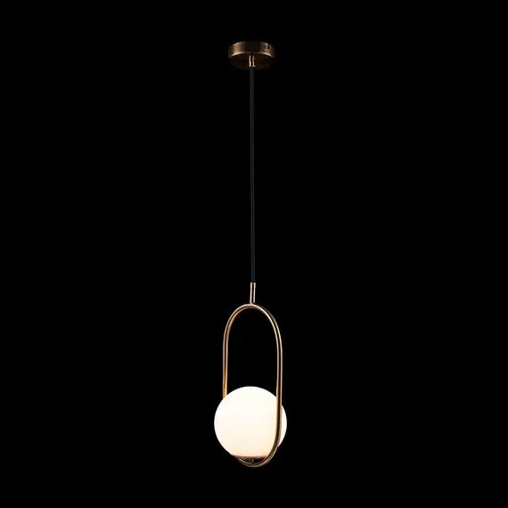 LOFT IT LOFT2595-A Подвесной светильник Glob, изображение 5