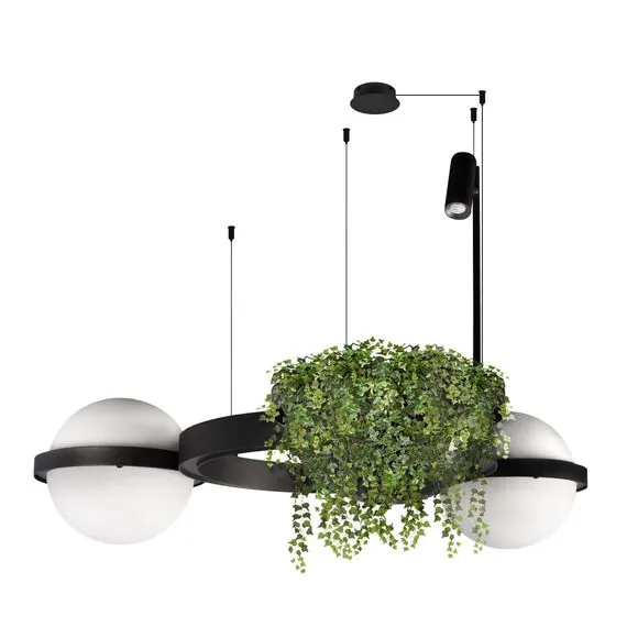 LOFT IT 10121/2 Подвесной светильник Jardin, изображение 3