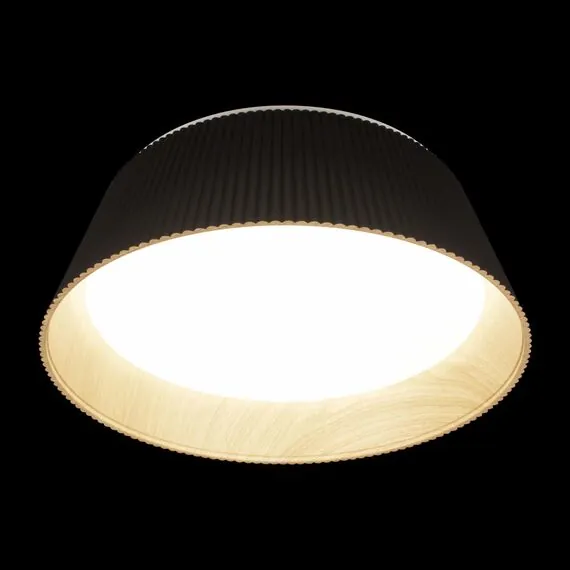 LOFT IT 10224 Black Потолочный светильник Evans, изображение 4
