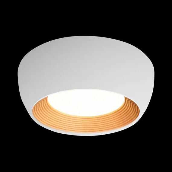 LOFT IT 10255/350 White Потолочный светильник Folk, изображение 2