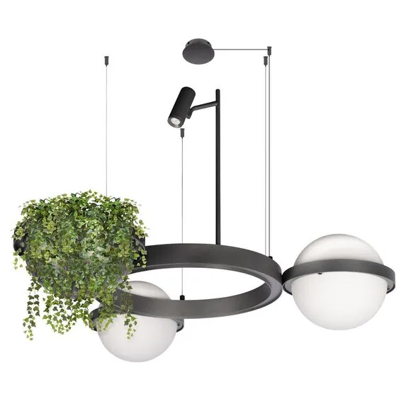 LOFT IT 10121/2 Dark grey Подвесной светильник Jardin, изображение 5
