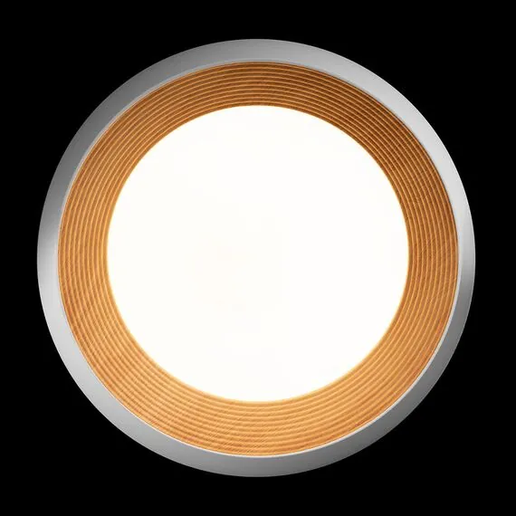 LOFT IT 10255/500 White Потолочный светильник Folk, изображение 3