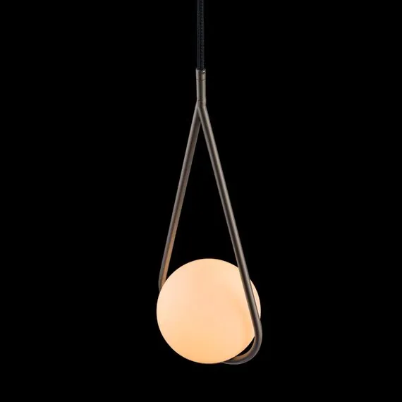 LOFT IT LOFT2599-B Подвесной светильник Glob, изображение 3