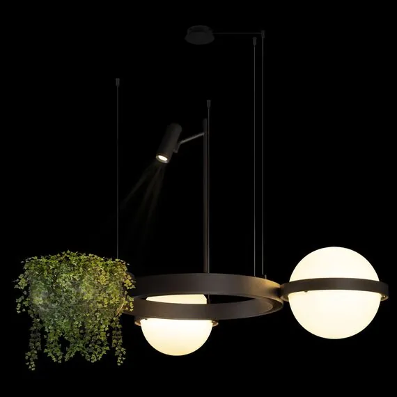 LOFT IT 10121/2 Dark grey Подвесной светильник Jardin, изображение 2