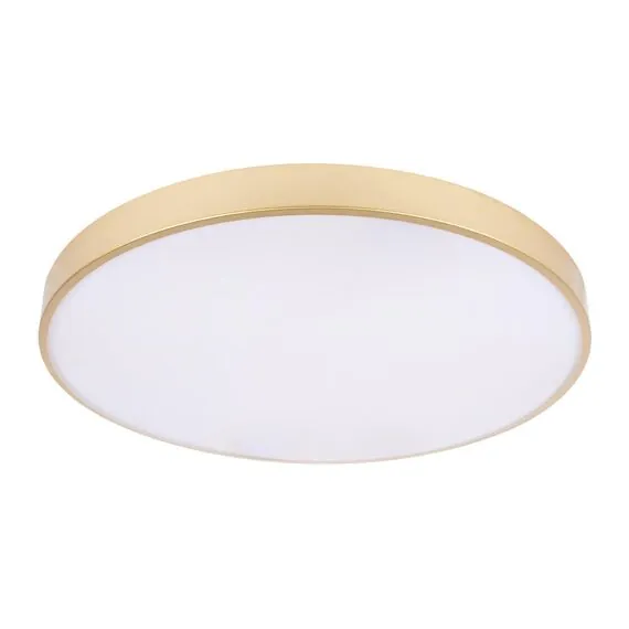 LOFT IT 10228/B Потолочный светильник Flims, изображение 3