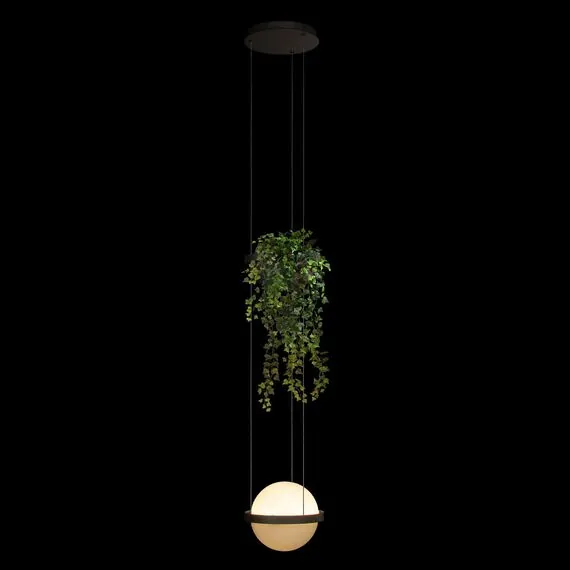 LOFT IT 10121/1P Dark grey Подвесной светильник Jardin, изображение 2