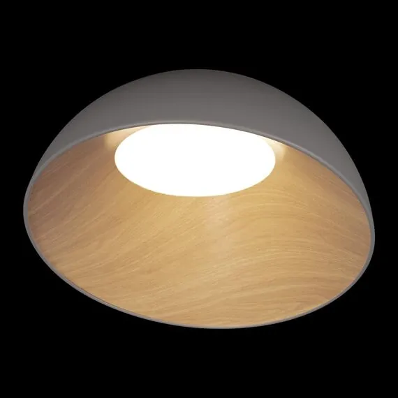 LOFT IT 10197/500 Grey Потолочный светильник Egg, изображение 2