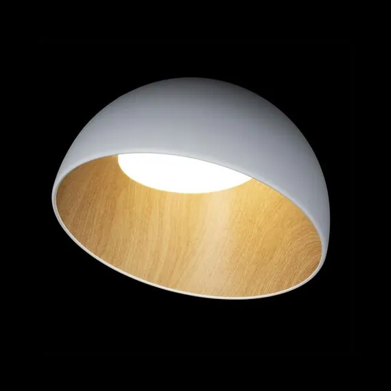 LOFT IT 10197/350 White Потолочный светильник Egg, изображение 2
