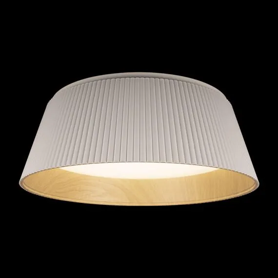 LOFT IT 10224 White Потолочный светильник Evans, изображение 2