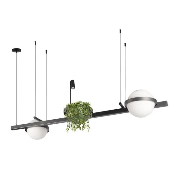 LOFT IT 10121/D Dark grey Подвесной светильник Jardin, изображение 3