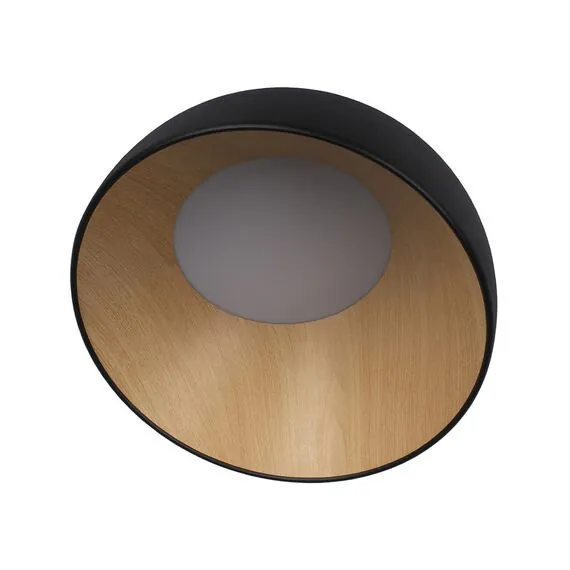 LOFT IT 10197/350 Black Потолочный светильник Egg, изображение 3