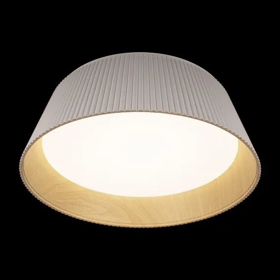 LOFT IT 10224 White Потолочный светильник Evans, изображение 4